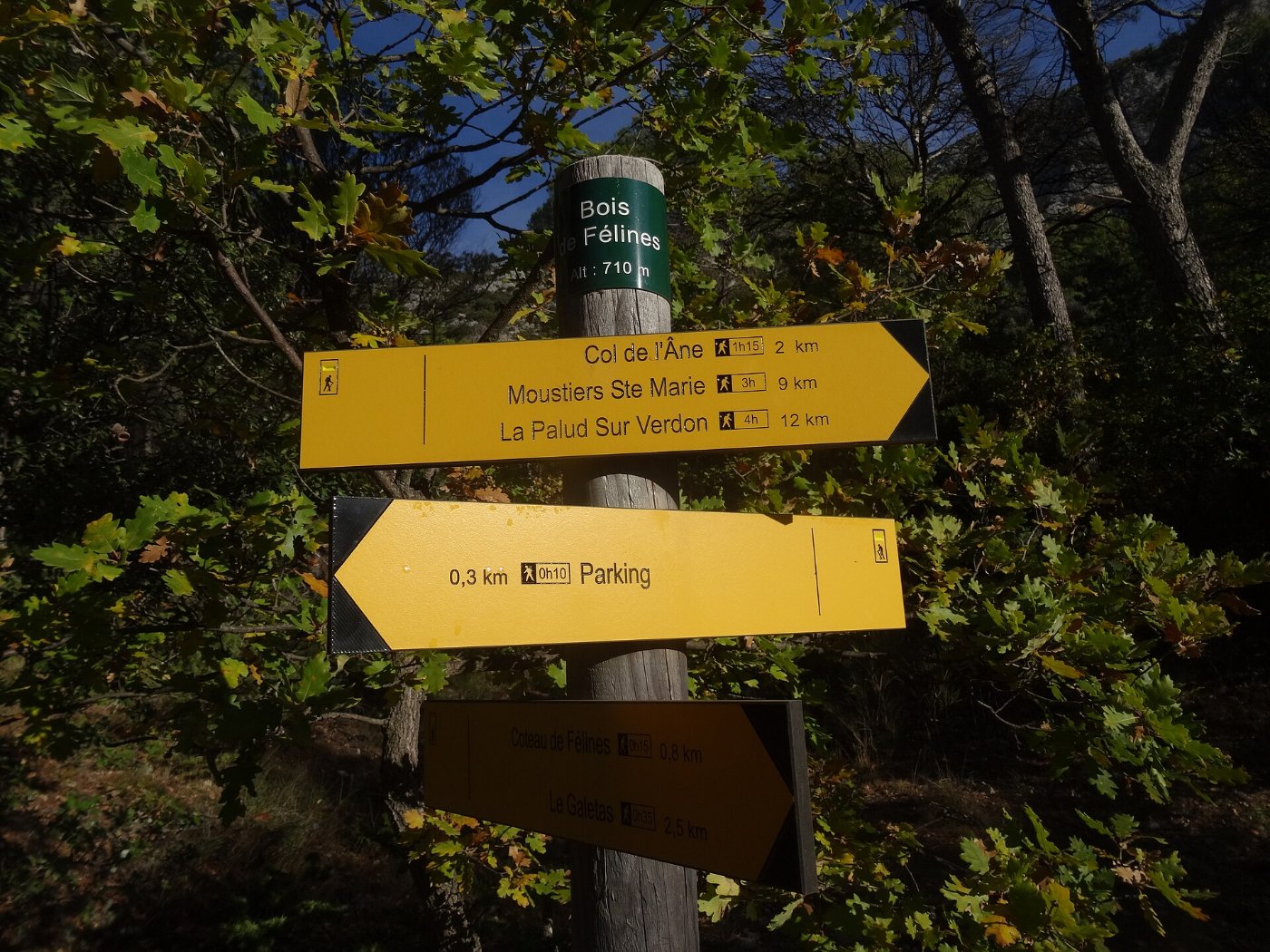 A signpost at a crossroads, one way marked plainly